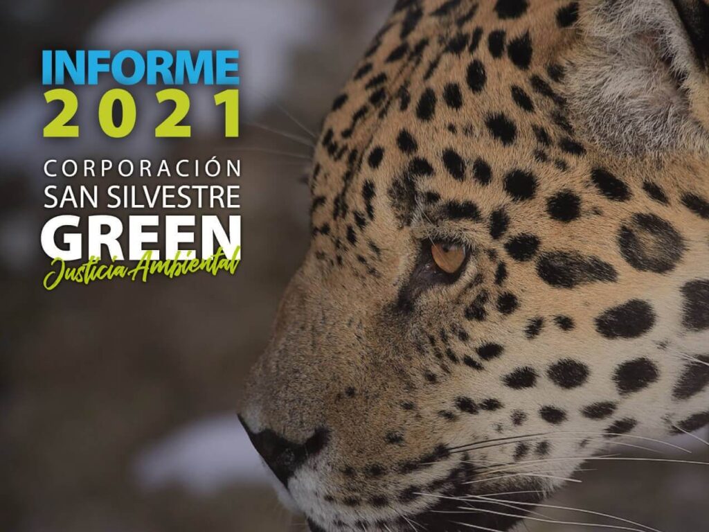 Informe de Gestión 2021