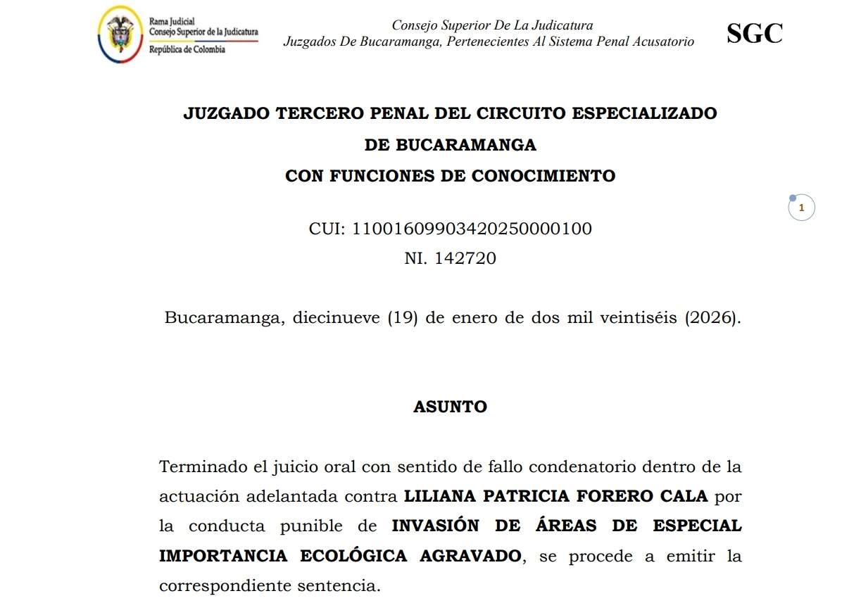 Justicia ambiental en Colombia: el caso del humedal San Silvestre marca un precedente